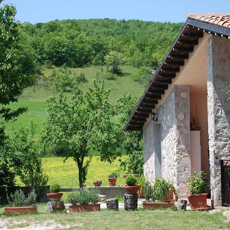 Casale La Torretta Acomodação com café da manhã Nórcia Exterior foto